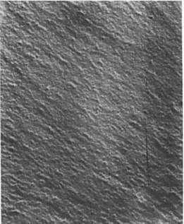 Fig.  10.  Transmission electron micrograph of a two-stage GF’t  replica of fracture surface  of  formulation 2 annealed at  60°C  for 24 h