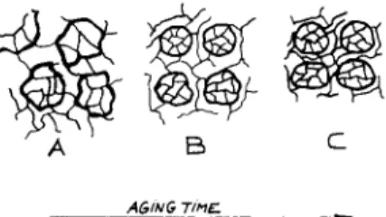 Fig.  12.  A  conceptual scheme of  the  morphology of epoxy resin at various stages  of  sub-  T8  annealing; (A) as-cured, still in rubbery  state,  (B)  after short sub-T,  annealing, glassy  state,  (C) after long sub-T,  annealing, glassy  state
