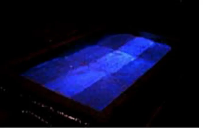 Fig. 4 The blue (visible) range of the Cherenkov radiation emitted from the ice target triggered by the  shower induced by the SLAC high energy beam (2006).