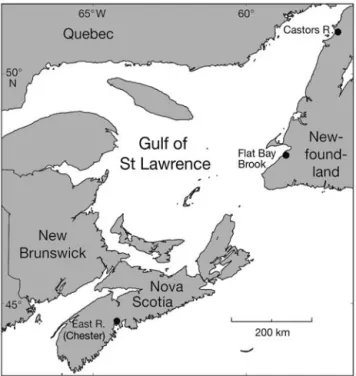 Fig. 1. Map of American eel sampling sites in eastern Canada.