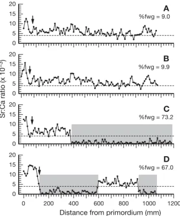 Fig. 3. Anguilla rostrata. (A to D) Plots of otolith Sr:Ca ratio data for electron microprobe transects A to D, indicating the effects of vaterite inclusions on Sr:Ca values