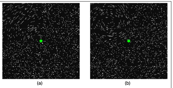 Figure 8. Examples of stimuli used in the curve and the form experiments 