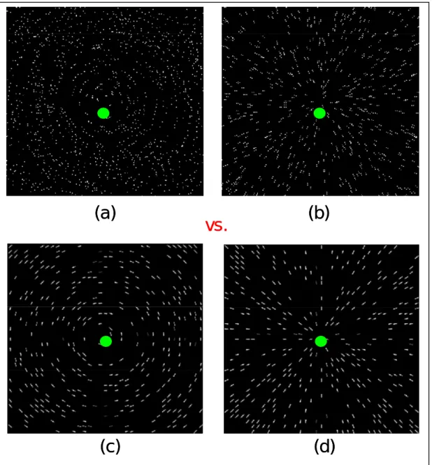 Figure 11. Examples of stimuli used in the dipole summation experiments. (a) &amp; (b): 