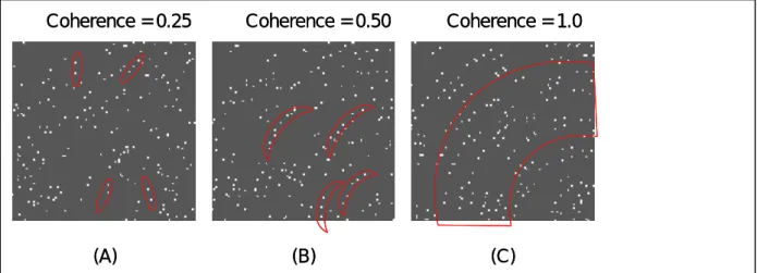 Figure 3. Glass patterns at different coherence levels activated different feature detectors