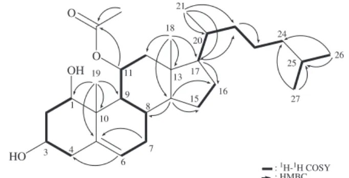 Figure 2. Selective NOESY correlations of 1.