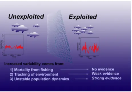Figure S1 | A schematic figure representing the main findings of this study.