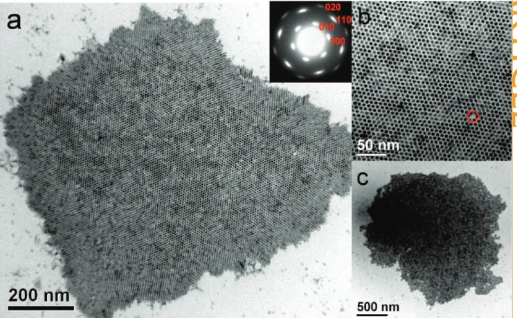 Figure 1. (a) TEM image of TDPA- and TOP-capped CdS nanorods with self-assembled organization in large scale