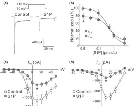 Fig. 1 Inhibitory effects of S1P on inward currents. Cells were bathed in Hank’s balanced salt solution containing different  concen-trations of S1P for 1 h before and during whole-cell voltage-clamp recording using a Cs + -containing pipette solution