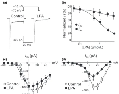 Fig. 2 Inhibitory effects of lysophosphatidic acid (LPA) on inward currents. Cells were bathed in Hank’s balanced salt solution containing different concentrations of LPA for 1 h before and during whole-cell voltage-clamp recording using a Cs + -containing