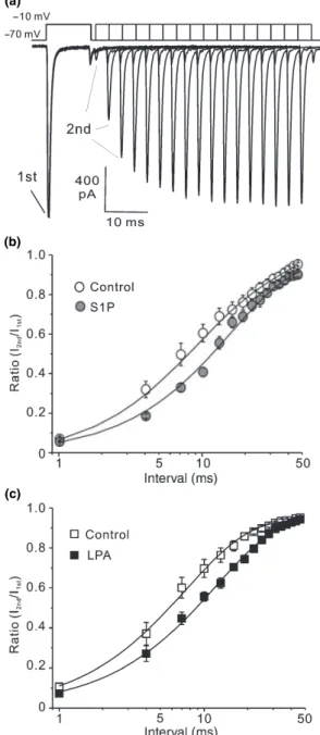 Fig. 4 Effects of lysophospholipids on the recovery rate of I Na . Cells were bathed in Ca 2+ -free Hank’s balanced salt solution and  pre-trea-ted with S1P (1 lmol/L) or LPA (2.5 lmol/L) for 1 h before and during whole-cell voltage-clamp recording using a
