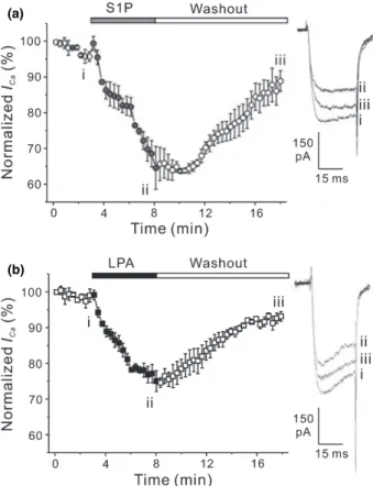 Fig. 5 Effect of LPLs on facilitated I Ca . Cells were bathed in NMG solution containing 5 mmol/L CaCl 2 and whole-cell voltage -clamped with a Cs + -containing pipette solution