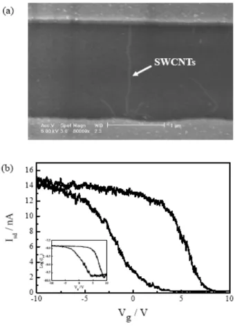 Figure 2. (a) Representative SEM image of an SWCNT-FET device consisting of a pair of source  and drain electrodes connected by a small bundle of SWCNTs
