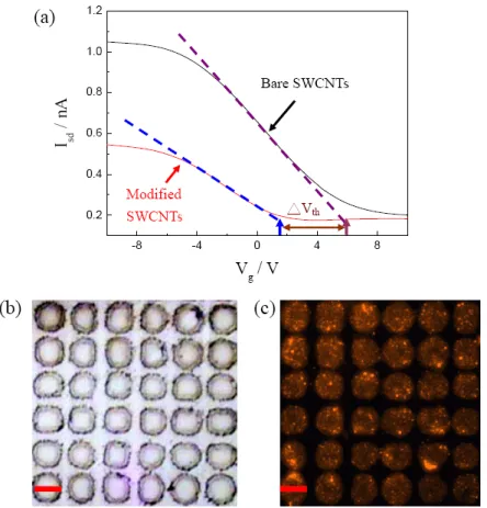 Figure 3. (a) The I sd -V g  curves measured in the ambient air before and after the immobilization of  CgA-Ab on an SWCNT-FET