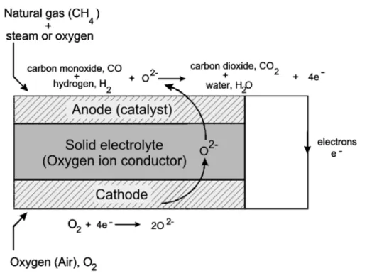 Fig. 2-1. Schematic diagram showing the general operating principles of a SOFC  [1] . 