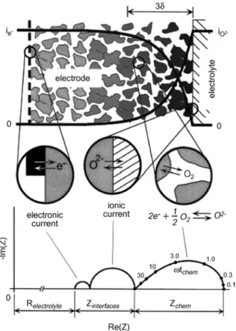 Fig. 2-2. Scheme of the cathode/electrolyte electrochemical reaction  system [10]. 