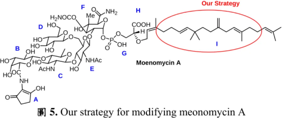 圖 5. Our strategy for modifying meonomycin A        我們的方法之一是修飾 Moenomycin A 的長碳鏈脂類，藉由組合式的處理，系統 地嵌入一段新的長碳鏈脂類，以探討長碳鏈脂類部分對於 Moenomycin A 的活性會有 何種影響。我們的方法是參考文獻資料，先將 Moenomycin A 保護，在利用臭氧裂解 的方法，將 Moenomycin A 原有的長碳鏈脂類切除而得到醛類（如圖 6）。  O OO NH 2 P O O OH COOHOOHO 