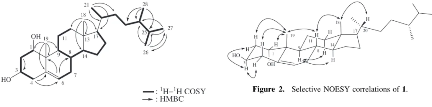 Figure 2. Selective NOESY correlations of 1.
