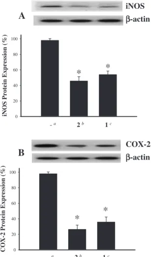 Figure 3. Eﬀect of compounds 1 and 2 on iNOS and COX- COX-2 protein expression of RAWCOX-264.7 macrophage cells by immunoblot analysis