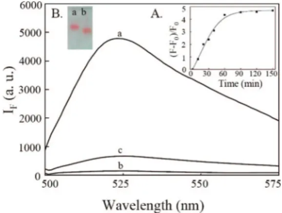 Figure 3 . Metal ion-induced fluorescence changes (525 nm) of the OliGreen-DNA-Au NPs in 25 mM Tris-HCl at pH 8.2 in the (A) absence and (B) presence of 1.0 mM NaCl