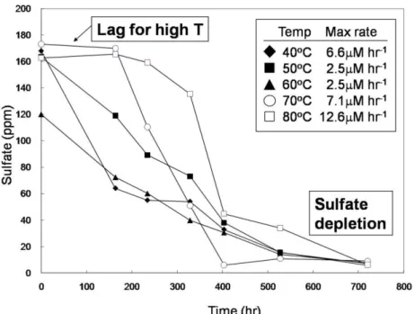 Figure 1. Sulfate consumption with time for incubations under different temperatures. 