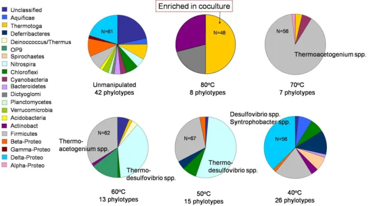 Figure 3. Community structures of Bacteria after incubations under different temperatures