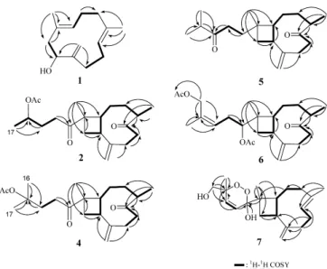 Fig. 2. Selective NOESY Correlations of 2 and 7