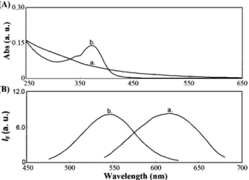 Figure 2. (A) UV-vis absorbance and (B) normalized fluorescence spectra of (a) Au NPs and (b) Man-Au NDs