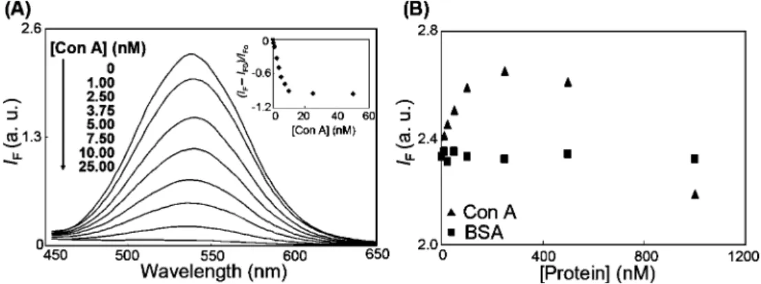 Figure 3. (A) Validation of the use of Man-Au NDs as probes for the detection of Con A