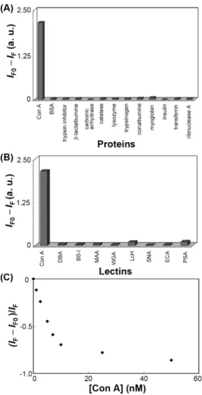 Figure 4. (A, B) Fluorescence changes of the Man-Au ND probe toward Con A, (A) other proteins, and (B) lectins