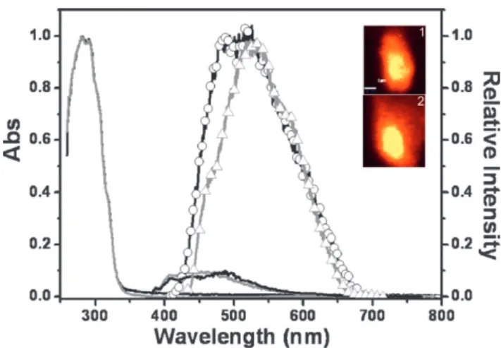 Fig. 5 The absorption and emission spectra of 1 (black) and 2 (grey) in THF. The emission of 1 (&amp;) and 2 (n) in single-crystals