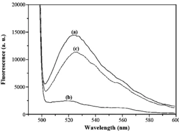 Figure 2. Fluorescence spectrum of fluorescein-labeled aptamers (solid line) at (a) 25 and (b) 0.25 nM