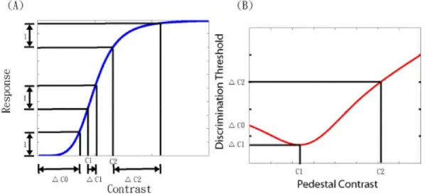 Figure 1. The relationship between the contrast response function (A) and TvC function (B)