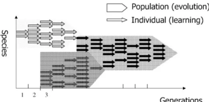 Fig. 1. Comparison of individual’s learning and population’s evolution.