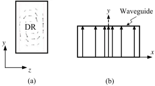 Figure 2 : E-field distributions: (a) TE 111 x  mode of a  rectangular DR, (b) TE 10  mode of waveguide