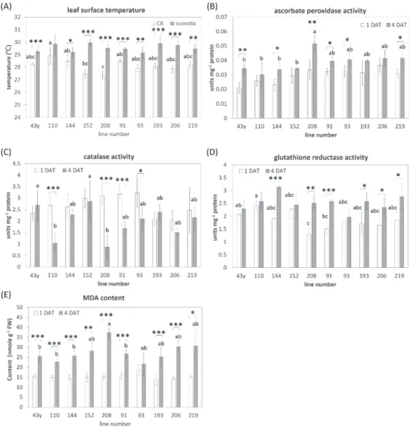 Fig. 5. (A)The surface temperature, (B-D) antioxidant enzyme activity and (E) MDA content in the leaves of  selected millet landraces