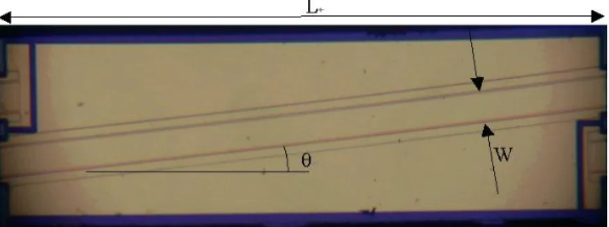 Figure 1 is the photograph of such a fabricated laser diode (LD). This device has double channel ridge waveguide  etched by reactive ion etch (RIE)