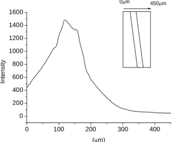 Figure 6 The near field of the angled broad-area device at 6A, facet A. 