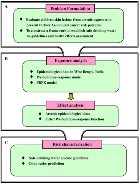 Fig. 1 – Schematic showing the proposed risk analysis framework for estimating the safe arsenic water guidelines and odds ratio predictions