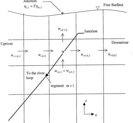 Fig. 2. Schematic diagram showing vertical computation grids at the junction of mainstem and the upriver end of the loop.