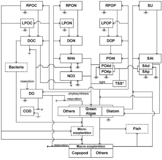 Fig. 3. Schematic diagram of the biogeochemical interactions among the model state variables.