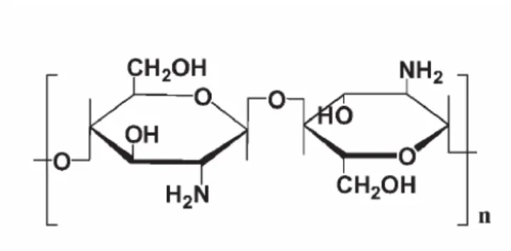 圖 2-5. Chitosan的化學結構 26 PLL(poly(L-lysine))為目前運用最廣泛的一種陽離子高分子載 體，從結構上可視為氨基酸lysine的聚合物，因此具有良好的生物可 降解性(biodegradable)。在pH 7.4 下，PLL側鏈上的一級胺會帶正電， 提供充足的能力去包覆DNA，研究顯示在許多不同濃度的鹽溶液 中，PLL皆能與DNA形成聚複合體 29 。但PLL和DNA作用之後，可能 由於電性中和，使聚複合體變為疏水性，所以有凝集的傾向，且容易 吸附血液中的蛋白質，進而被免疫系