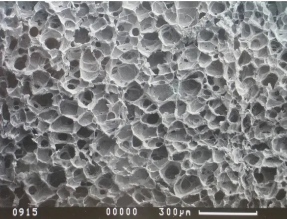 Figure 4-1. The SEM picture of sample L4.