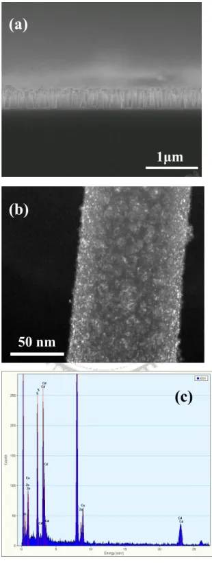 Figure 5.2 (a) Cross-sectional scanning electron micrograph of ZnO nanorods. (b)  Dark-field transmission electron micrograph of a ZnO nanorod decorated with CdS 