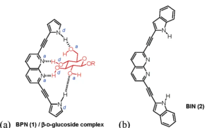Figure 1. (a) Complexation of BPN with alkyl β- D -glucopyranoside via quadruple hydrogen bondings