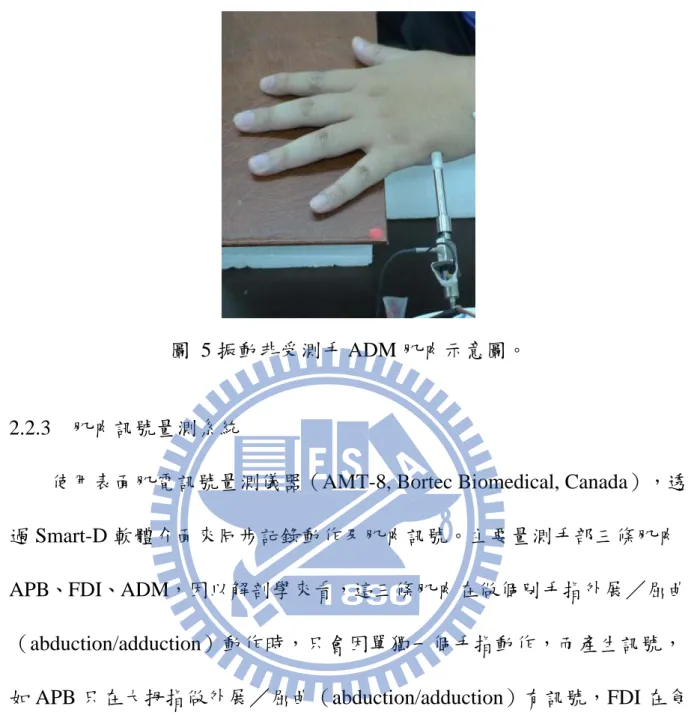 圖  5 振動非受測手 ADM 肌肉示意圖。 