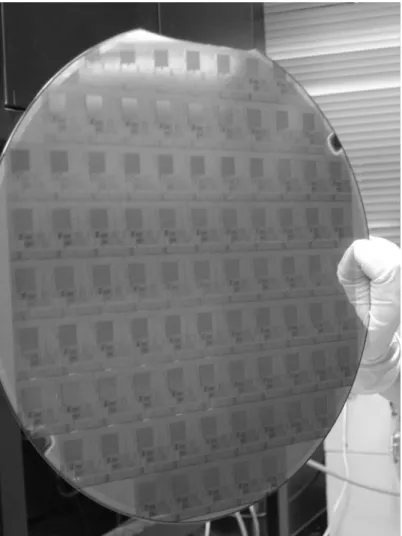 Fig. 2.1  The used dies on wafer. All dies on wafer contain many   n-channel MOS transistors with the same structure