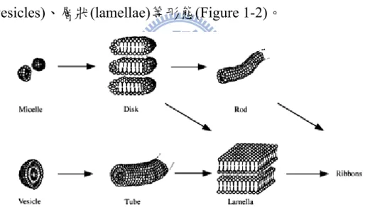 Figure 1-2. Schematic illustrations of possible morphology of amphiphilic  molecules in aqueous solution