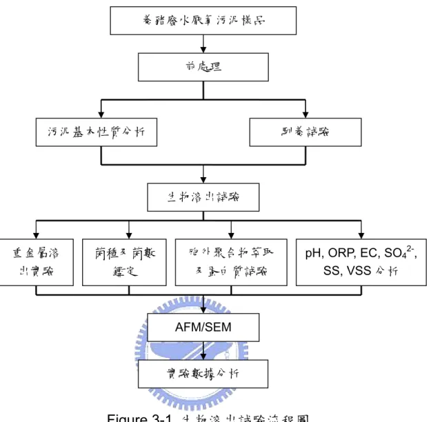 Figure 3-1  生物溶出試驗流程圖  3.3  污泥樣品來源及前處理      本研究中的污泥來源為北部某養猪場三段式廢水處理之厭氧污泥。 所採集回來的污泥，先將其全部混和均勻，再分別裝入數個採樣桶之中， 置入低溫冰箱內保存。然後取出一部分的原始污泥，經自然風乾、研磨過 後再利用  20 mesh (0.84 mm)  細篩過篩後，再進行污泥基本性質分析。 養猪廢水厭氧污泥樣品 前處理 污泥基本性質分析 馴養試驗 生物溶出試驗 胞外聚合物萃取 及蛋白質試驗 實驗數據分析 菌種及菌數 鑑定 重金屬溶出