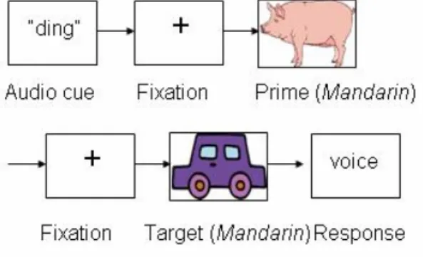 Figure 1: An example of the structure of a non  code-switching list (Prime: white, Mandarin; Target: 