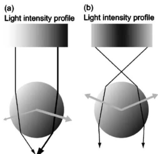 Fig. 1.2 Schematic drawing of the relationship between refractive indices of object (n 1 ) and  medium (n 2 ) and the direction of gradient force